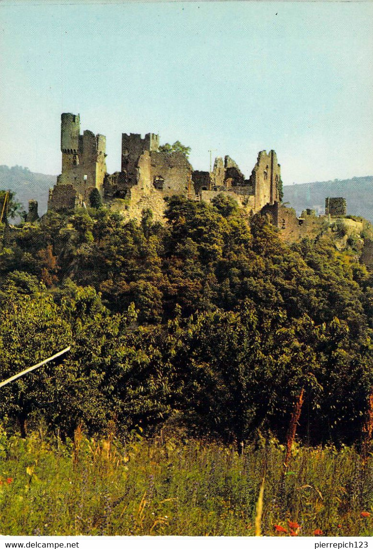 couleur vert (2).jpg